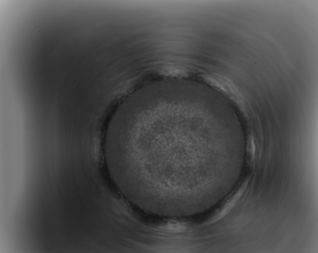 X0000094960416200712061315