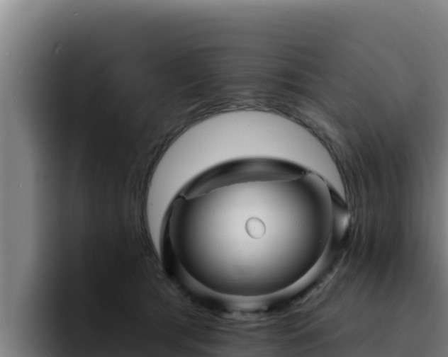 X0000094960417200712061315