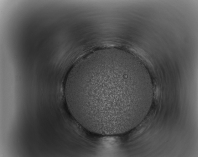 X0000094960418200712061315