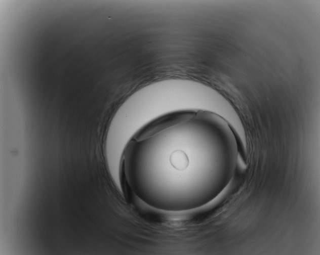 X0000094960419200712061315