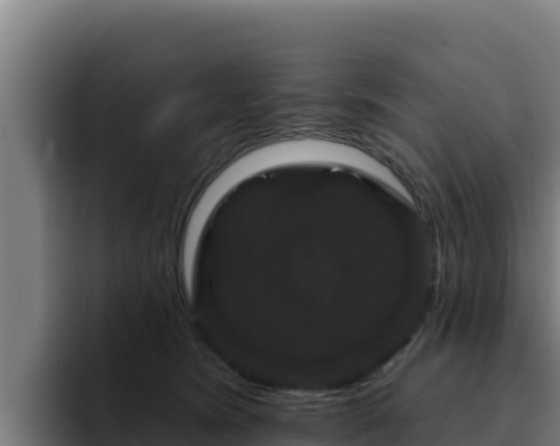 X0000094960420200712061315