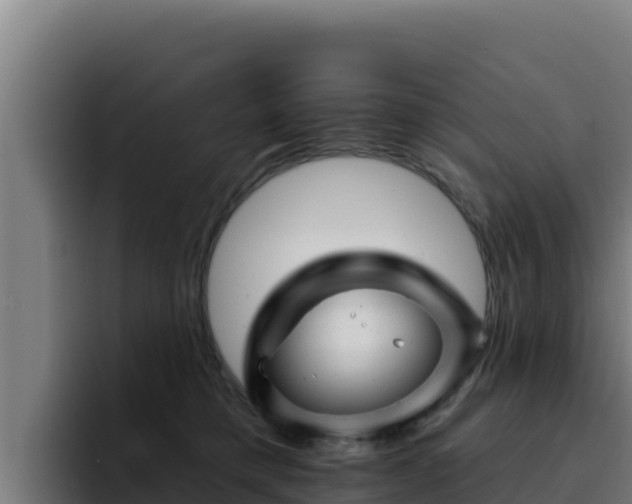 X0000094960421200712061315