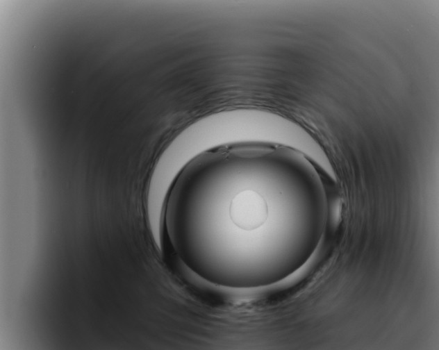 X0000094960423200712061315