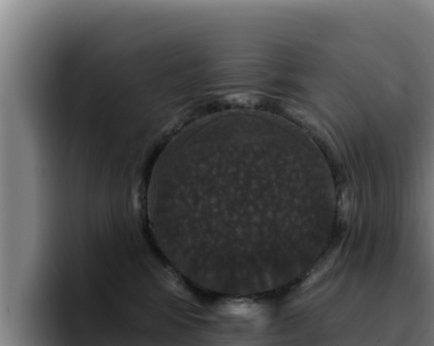 X0000094960424200712061315