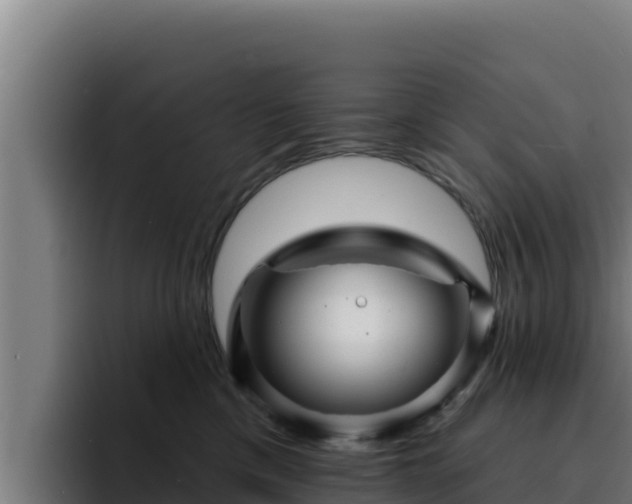 X0000094960425200712061315