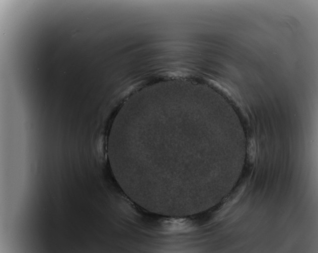 X0000094960428200712061315