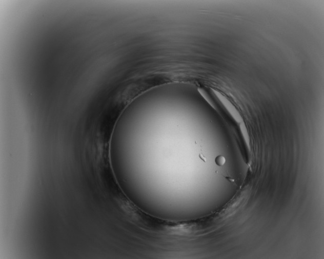 X0000094960430200712061315