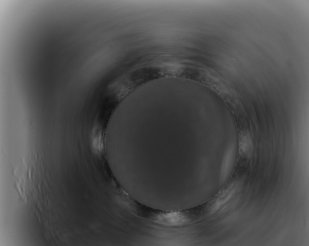 X0000094960431200712061315