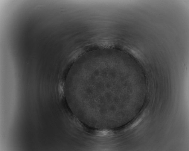 X0000094960432200712061315