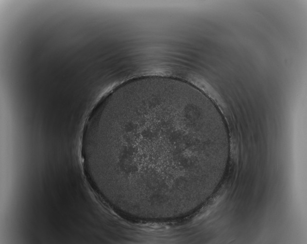 X0000094960434200712061315