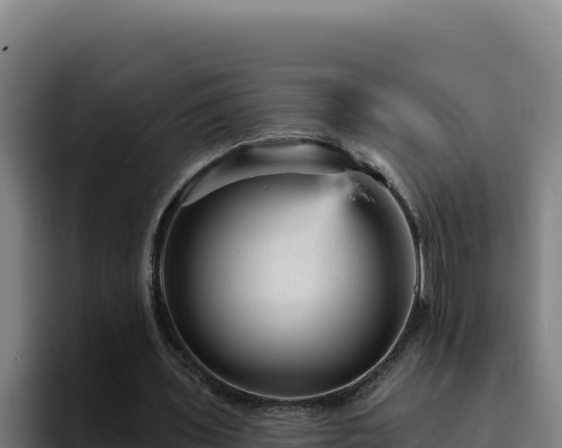 X0000094960435200712061315