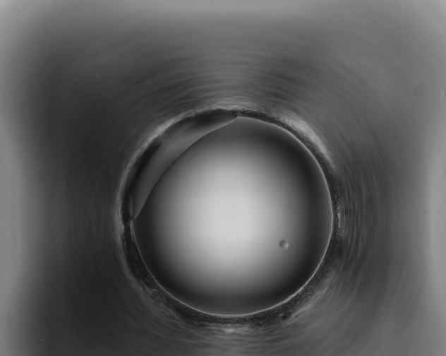 X0000094960436200712061315