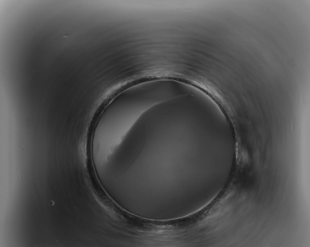 X0000094960438200712061315