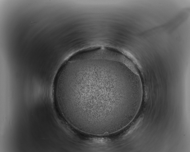 X0000094960439200712061315