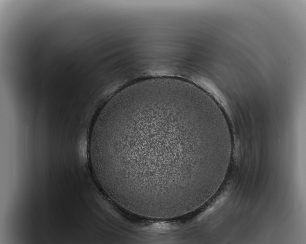 X0000094960441200712061315