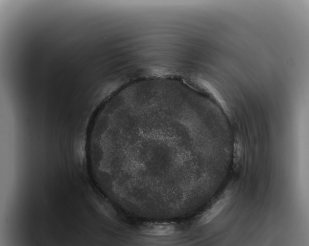 X0000094960443200712061315