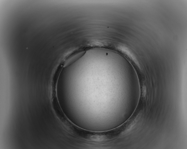 X0000094960444200712061315