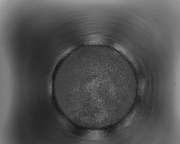 X0000094960446200712061315