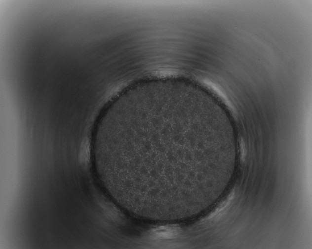 X0000094960447200712061315