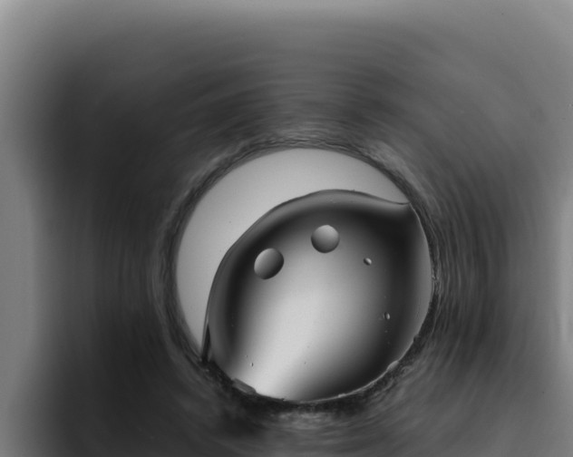 X0000094960448200712061315