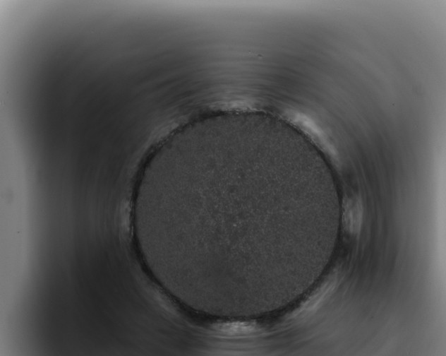 X0000094960449200712061315