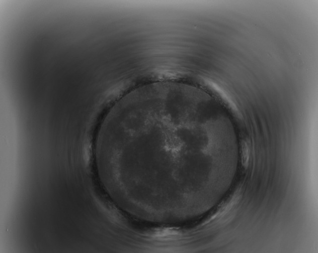 X0000094960451200712061315