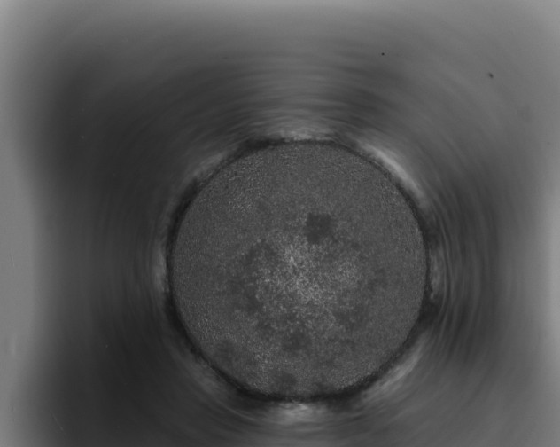 X0000094960453200712061315