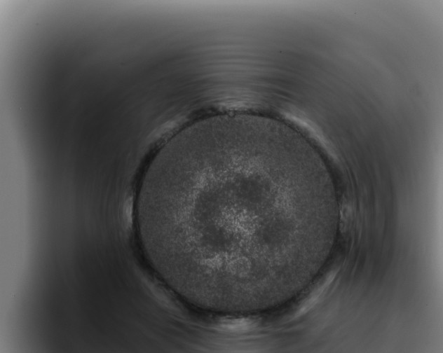 X0000094960454200712061315