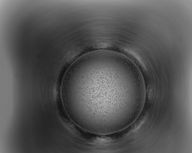 X0000094960455200712061315