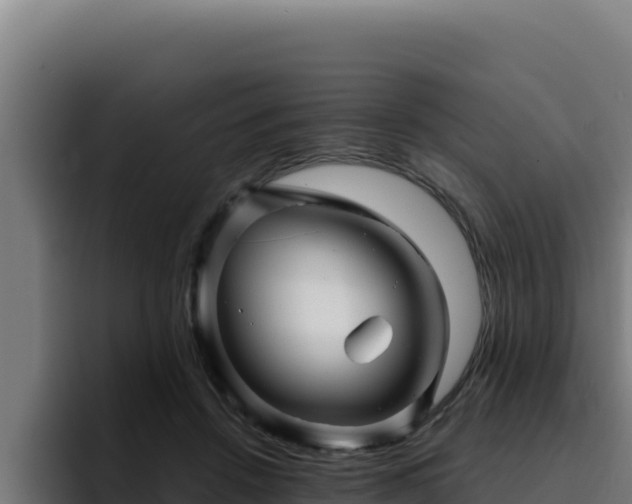 X0000094960456200712061315