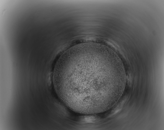 X0000094960462200712061315