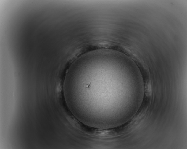 X0000094960472200712061315