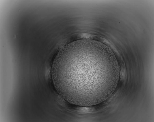 X0000094960473200712061315