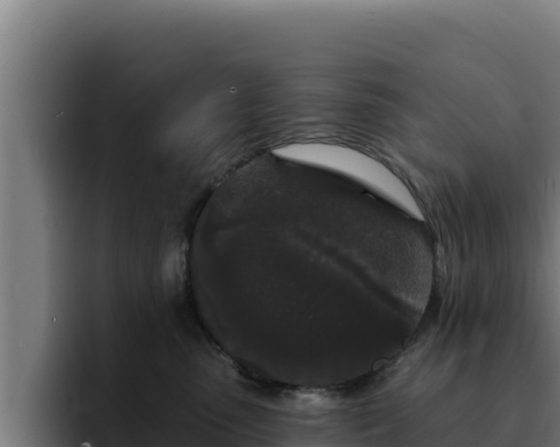 X0000094960475200712061315