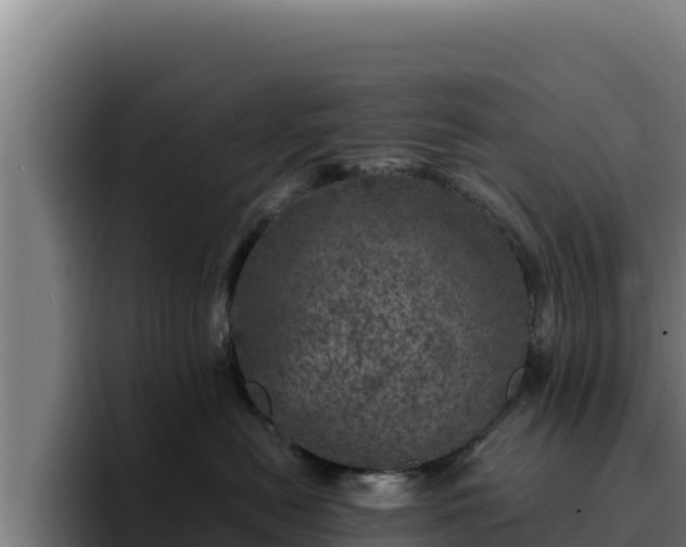 X0000094960478200712061315