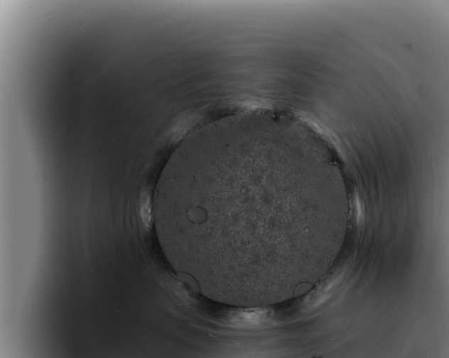 X0000094960479200712061315