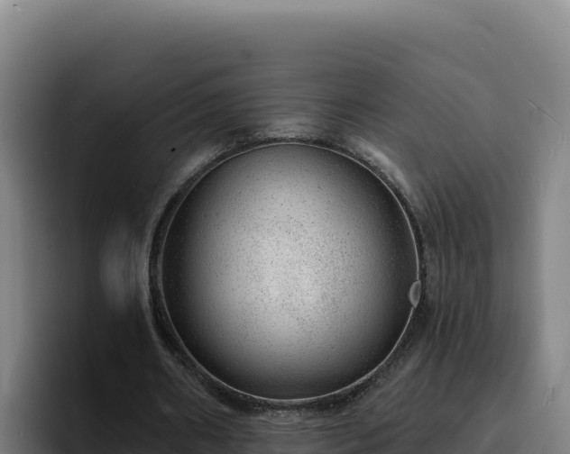 X0000094960482200712061314