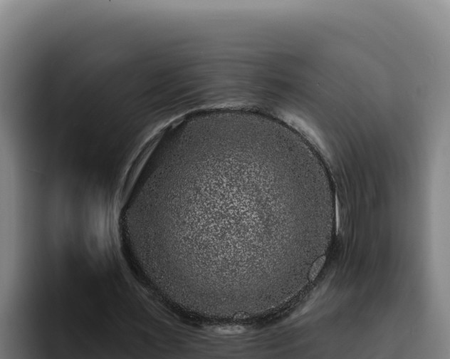 X0000094960483200712061314