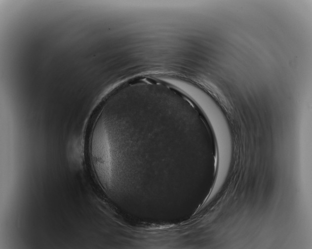 X0000094960484200712061314