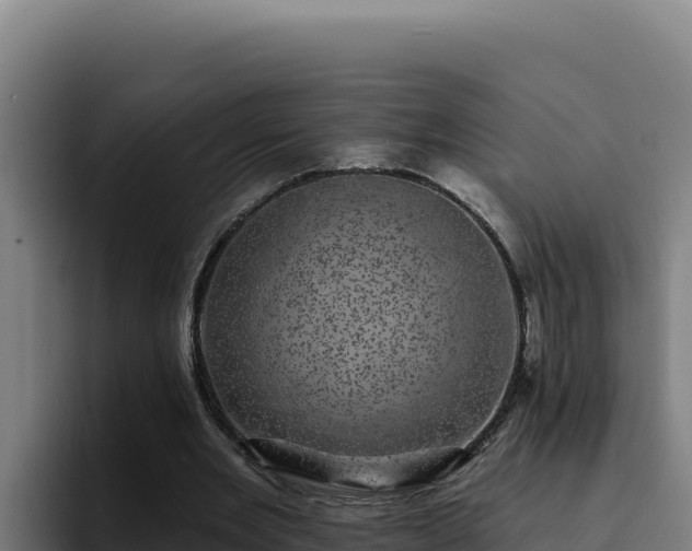 X0000094960485200712061314