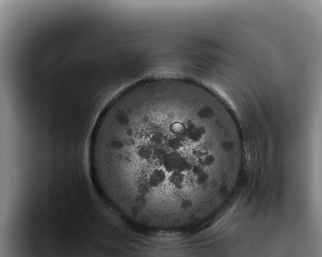 X0000094960487200712061314