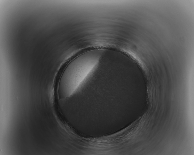 X0000094960488200712061314