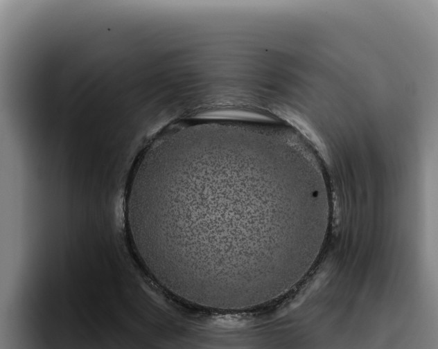 X0000094960489200712061314