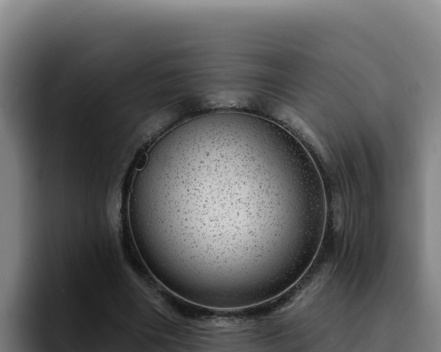 X0000094960490200712061314