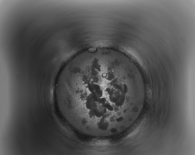 X0000094960491200712061314