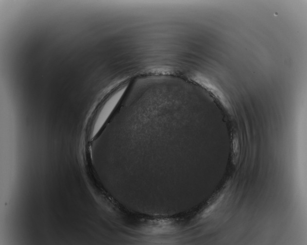 X0000094960492200712061314