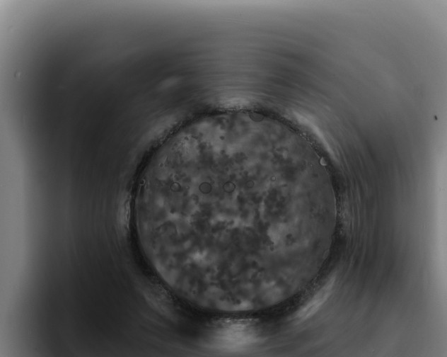 X0000094960495200712061314