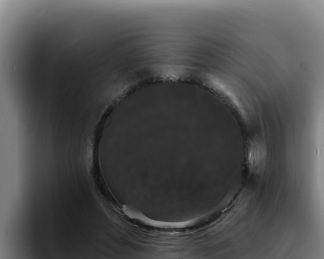 X0000094960496200712061314