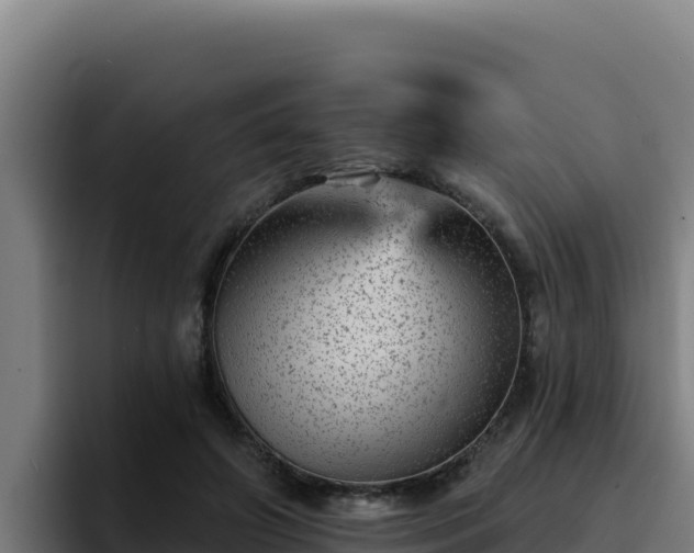 X0000094960498200712061314