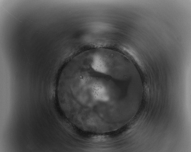 X0000094960499200712061314